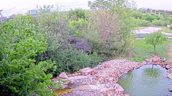 Weather camera view of Elise Walker Outdoor Learning Center.