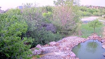 Weather camera view of Elise Walker Outdoor Learning Center.
