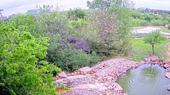 Weather camera view of Elise Walker Outdoor Learning Center.