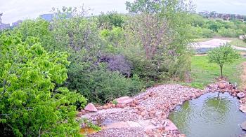Weather camera view of Elise Walker Outdoor Learning Center.