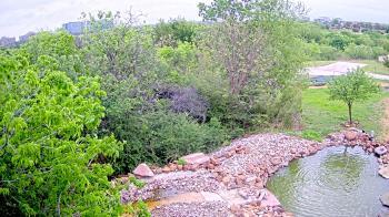 Weather camera view of Elise Walker Outdoor Learning Center.