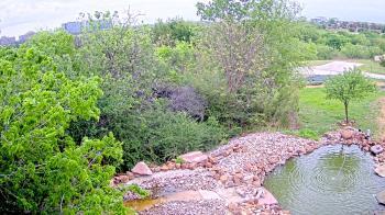 Weather camera view of Elise Walker Outdoor Learning Center.