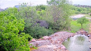 Weather camera view of Elise Walker Outdoor Learning Center.