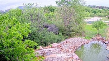 Weather camera view of Elise Walker Outdoor Learning Center.