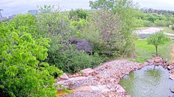 Weather camera view of Elise Walker Outdoor Learning Center.