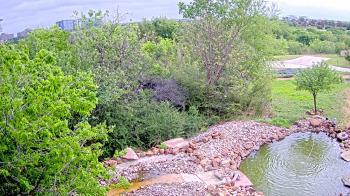 Weather camera view of Elise Walker Outdoor Learning Center.