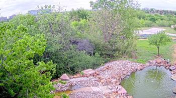 Weather camera view of Elise Walker Outdoor Learning Center.