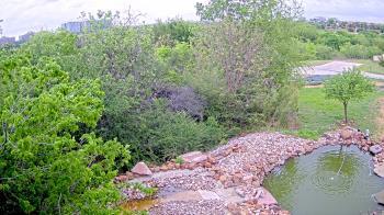 Weather camera view of Elise Walker Outdoor Learning Center.