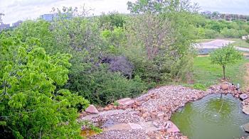 Weather camera view of Elise Walker Outdoor Learning Center.