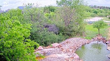 Weather camera view of Elise Walker Outdoor Learning Center.