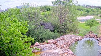 Weather camera view of Elise Walker Outdoor Learning Center.