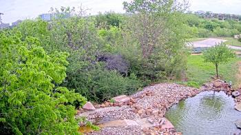 Weather camera view of Elise Walker Outdoor Learning Center.