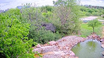 Weather camera view of Elise Walker Outdoor Learning Center.