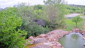 Weather camera view of Elise Walker Outdoor Learning Center.