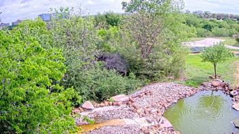 Weather camera view of Elise Walker Outdoor Learning Center.