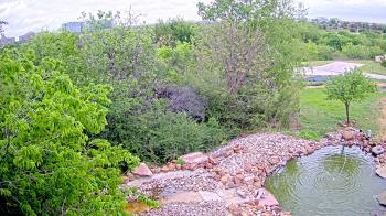 Weather camera view of Elise Walker Outdoor Learning Center.