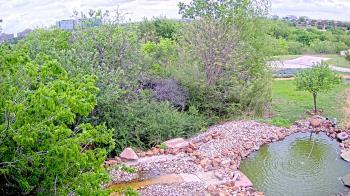 Weather camera view of Elise Walker Outdoor Learning Center.