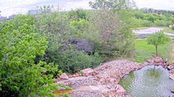 Weather camera view of Elise Walker Outdoor Learning Center.