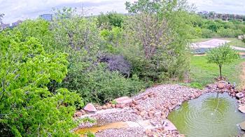 Weather camera view of Elise Walker Outdoor Learning Center.