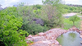 Weather camera view of Elise Walker Outdoor Learning Center.