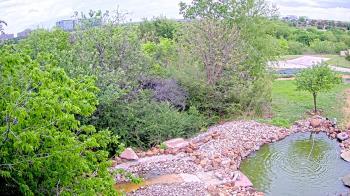Weather camera view of Elise Walker Outdoor Learning Center.