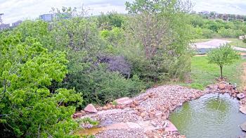 Weather camera view of Elise Walker Outdoor Learning Center.