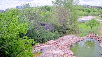 Weather camera view of Elise Walker Outdoor Learning Center.