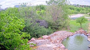 Weather camera view of Elise Walker Outdoor Learning Center.