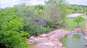 Weather camera view of Elise Walker Outdoor Learning Center.