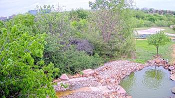 Weather camera view of Elise Walker Outdoor Learning Center.