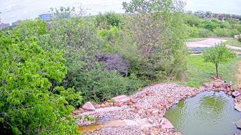 Weather camera view of Elise Walker Outdoor Learning Center.