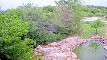 Weather camera view of Elise Walker Outdoor Learning Center.