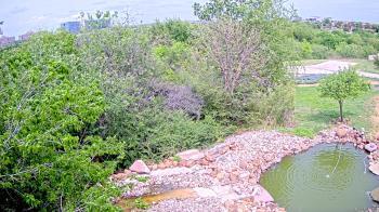 Weather camera view of Elise Walker Outdoor Learning Center.