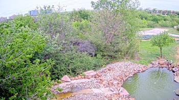 Weather camera view of Elise Walker Outdoor Learning Center.