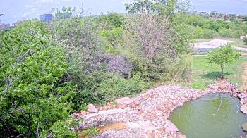 Weather camera view of Elise Walker Outdoor Learning Center.