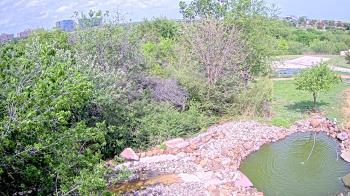 Weather camera view of Elise Walker Outdoor Learning Center.