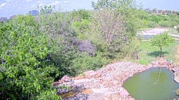 Weather camera view of Elise Walker Outdoor Learning Center.