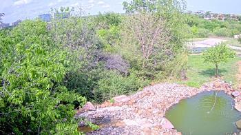 Weather camera view of Elise Walker Outdoor Learning Center.