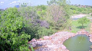 Weather camera view of Elise Walker Outdoor Learning Center.