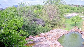 Weather camera view of Elise Walker Outdoor Learning Center.
