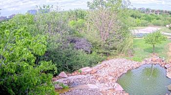 Weather camera view of Elise Walker Outdoor Learning Center.