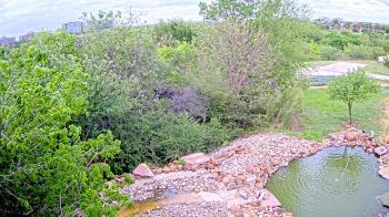 Weather camera view of Elise Walker Outdoor Learning Center.