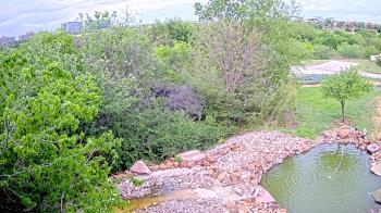 Weather camera view of Elise Walker Outdoor Learning Center.