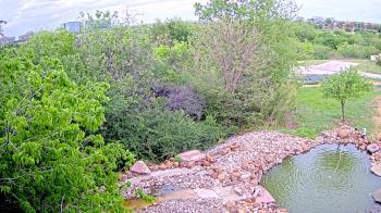 Weather camera view of Elise Walker Outdoor Learning Center.