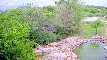 Weather camera view of Elise Walker Outdoor Learning Center.