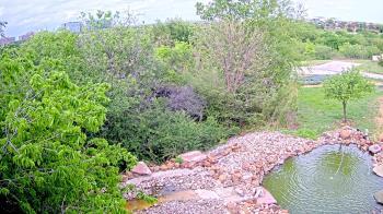 Weather camera view of Elise Walker Outdoor Learning Center.