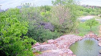 Weather camera view of Elise Walker Outdoor Learning Center.