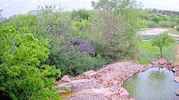 Weather camera view of Elise Walker Outdoor Learning Center.