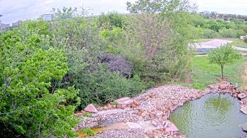 Weather camera view of Elise Walker Outdoor Learning Center.