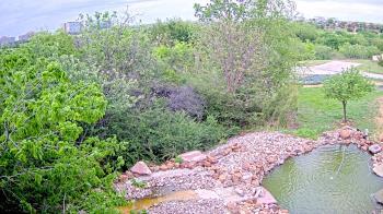 Weather camera view of Elise Walker Outdoor Learning Center.